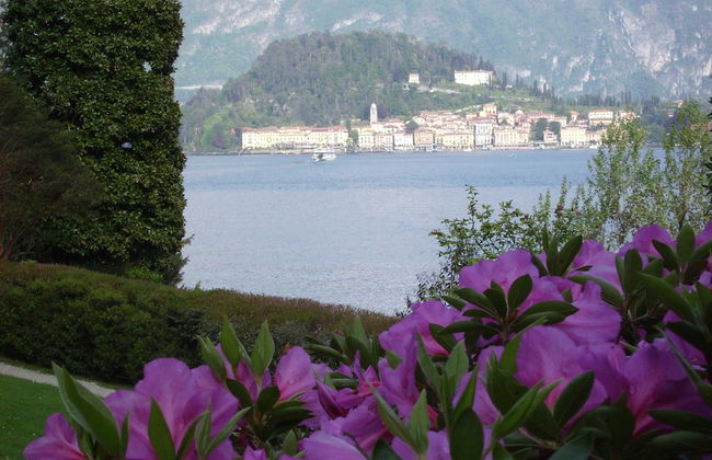 Azalea & Glicine House - Foto 1