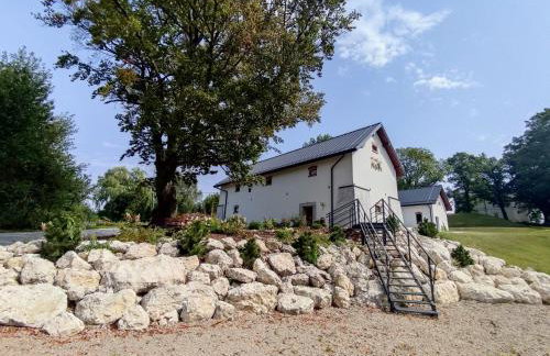 Winnica NOVI - apartamenty - Photo 7