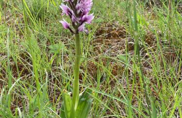Gîte Lou Clapas dans village perché du Parc des Grands Causses - Photo 20