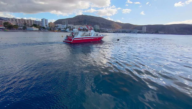 Navegando por la costa sur de Tenerife