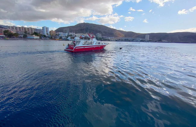Los Cristianos Whale + Dolphin Watching Boat Tour - Photo 2