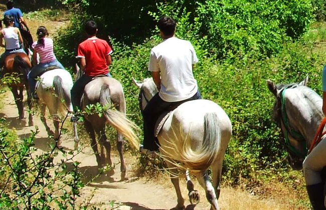 San Lorenzo Natural Reserve Horseback Riding - Photo 1