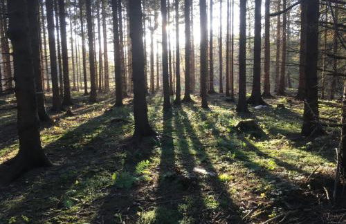 Ferienwohnung Eldorstal 2 - Urlaub mit Hund in Bad Harzburg - Foto 18