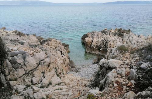 4 Roses Apartment - Photo 43