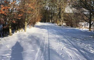 River Cottage - Photo 10