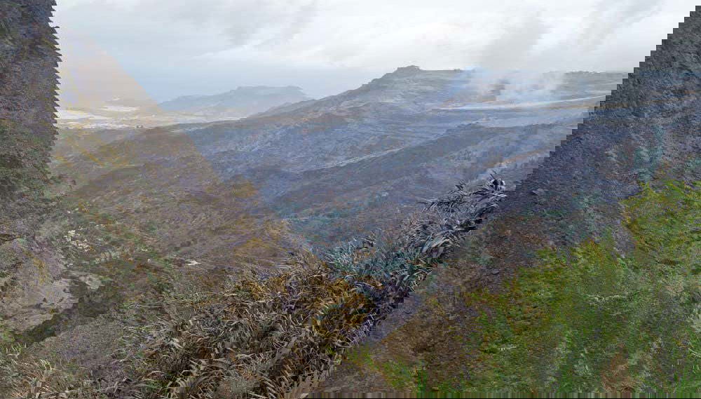 Escursione nella Valle di Agaete da Las Palmas - Foto 1