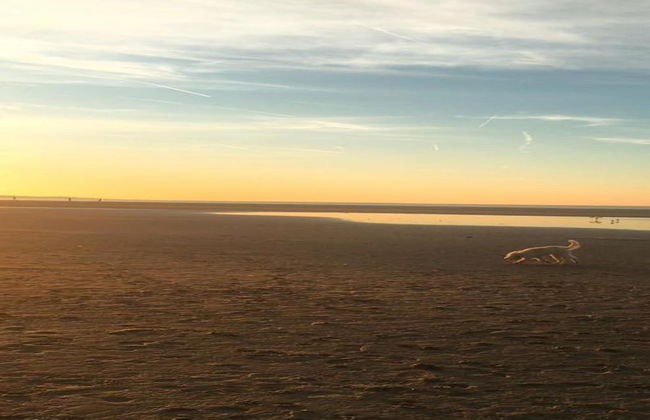 Lodge Near Brouwersdam & North Sea Beach - Photo 38