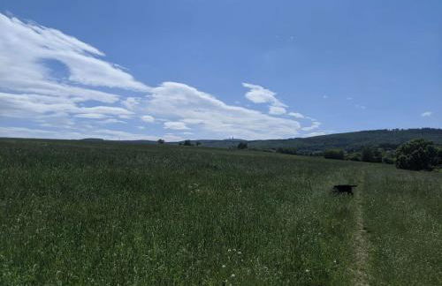 Großzügige 3-Zimmer-Wohnung im Taunus - 2 Bäder & Familienfreundlich - Foto 19