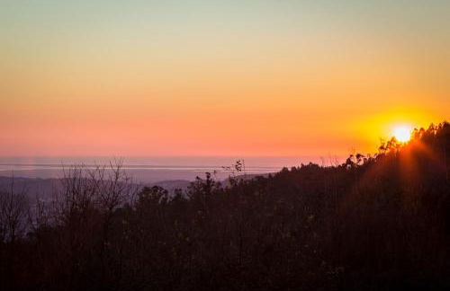 Casas dos Avos - Foto 7