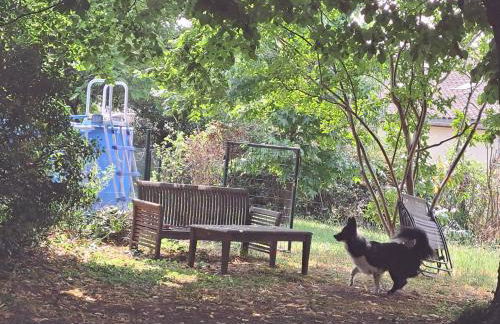 Gite du Château les Cedres - Foto 13