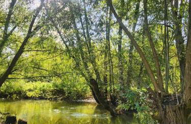 Cosy family home in Buckingham - Foto 23