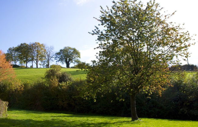 Holiday Home in Gemmenich With Forest Views - Foto 34