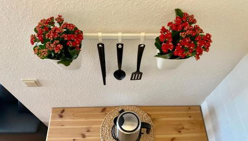 Ferienapartment Casa Heideblick mit Sonnenterrasse & Garten - Foto 5