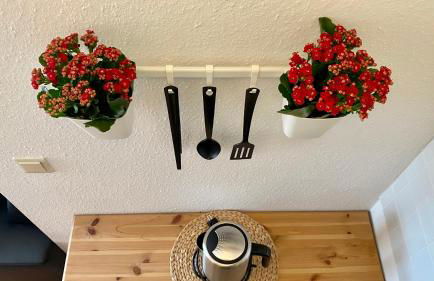 Ferienapartment Casa Heideblick mit Sonnenterrasse & Garten - Foto 5