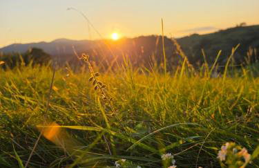 Kokuszka Village - domki drewniane - Foto 25