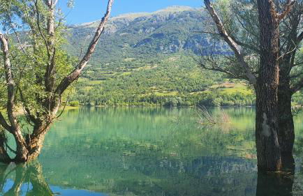 Casa Vacanze Domus Angela - Foto 42