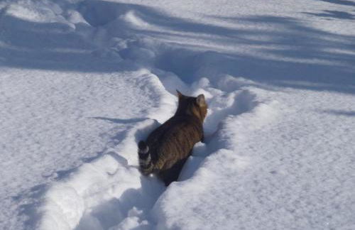 Ferienwohnung Rötzer - Foto 14
