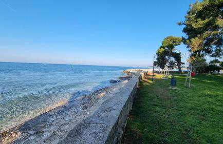 Old Harbour - Photo 22