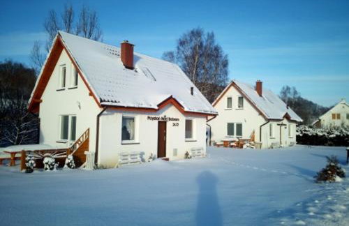 PRZYSTAŃ NAD BOBREM z Balią i Sauną - Foto 3