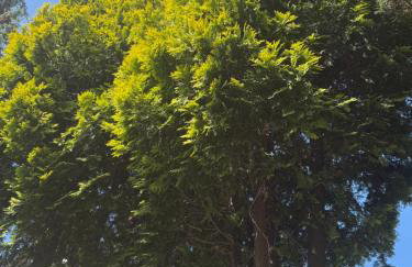 Apartament Skórcz Kociewie Pomorze Gdańskie Agroturystyka - Foto 47