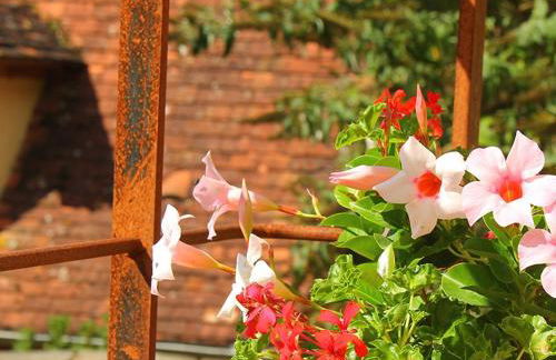 Tour Milou - Foto 18