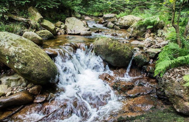Apartment in Harz With Terrace and Fireplace - Photo 36