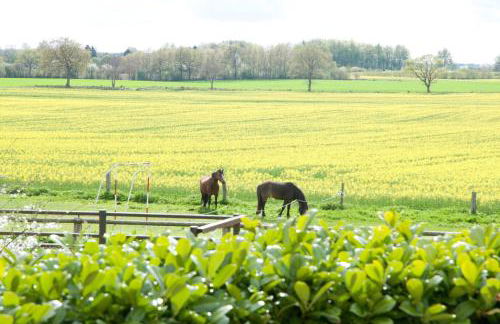 Ferienwohnung Schoene Aussicht - Foto 16
