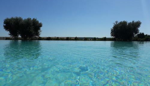 Terras - Agroturismo & Vinhos - Foto 2