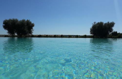 Terras - Agroturismo & Vinhos - Foto 2