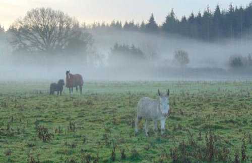 Secret & Secluded Sedlescombe - Foto 16