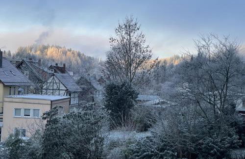 Bergstadthütte Harz - Foto 13