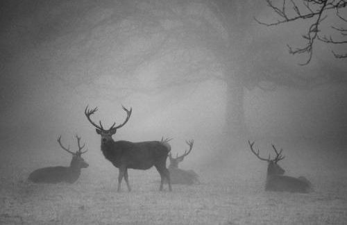 Queen Annes court luxury apartment on high street - Photo 19