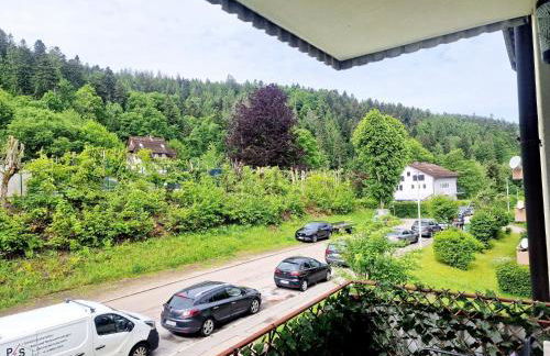 Holiday Apartment near Triberg Waterfall - Foto 22