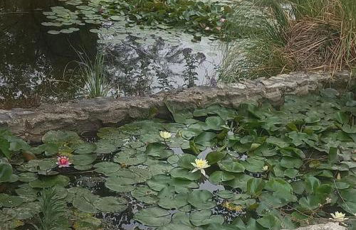 Moradia na Serra - Foto 42