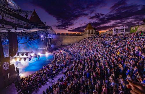 Entrez en lice, Face à la Cité vue sublime - Photo 39