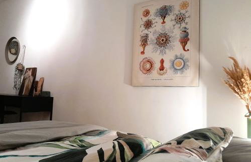 Spacious Home in Old-West - Leutsch - Foto 6