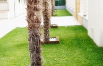 Residence Deamarina - Photo 61