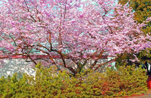 Apartment close to nature,airport, fair - Foto 32