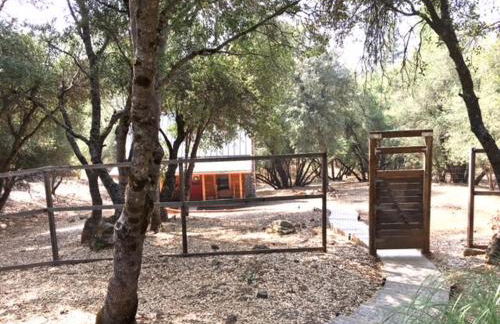 Apple Valley Cabin - Photo 19