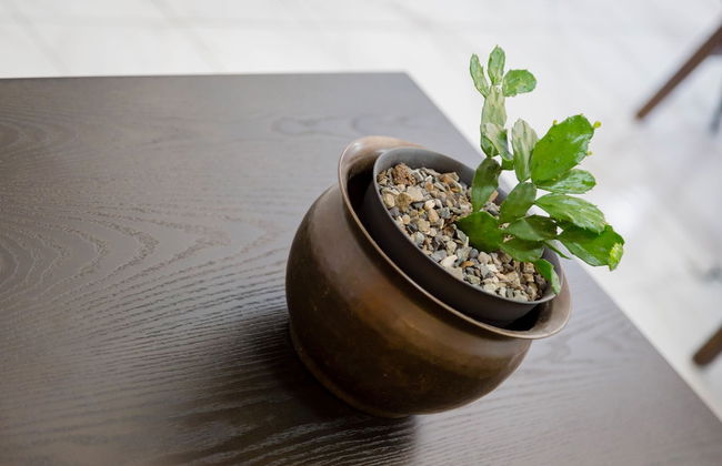 Centrally Located Guest Apartments - Foto 13