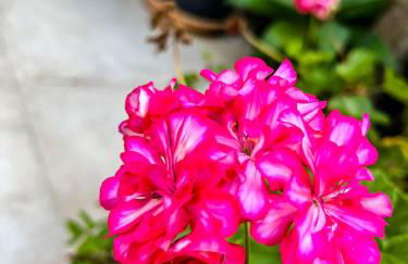 Pousada dos Sonhos - MP - Foto 71