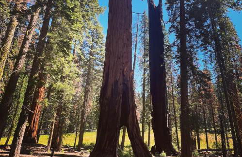 Modern Cabin, Near Snow Park, 3.5 Miles to SNP! - Foto 32