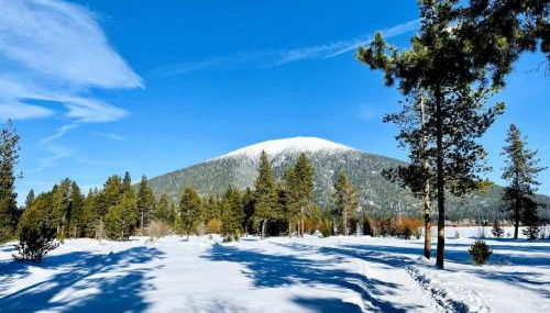 Black Butte Ranch Modern A-Frame Retreat, sleeps 8 - Foto 4