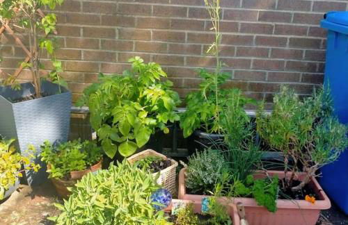 Garden Apartment Morpeth- with lockable bike storage! - Foto 21