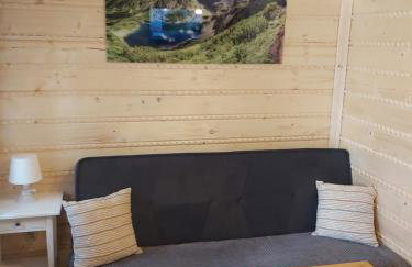 Apartamenty i Domki Biały Dunajec - Foto 28
