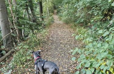 Ferienoase Weitblick - Foto 31