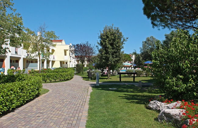 Calycanthus - Foto 51