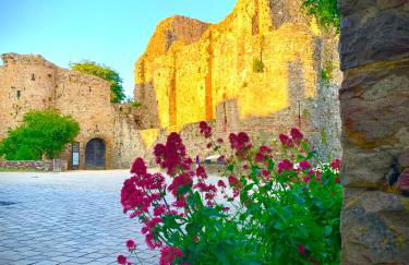 Le Clos de Loré - Foto 13