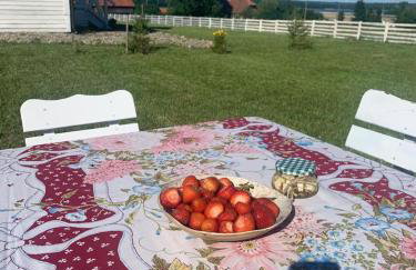 Giżycko-Przerwanki Domki Widok na Mazury - Foto 6