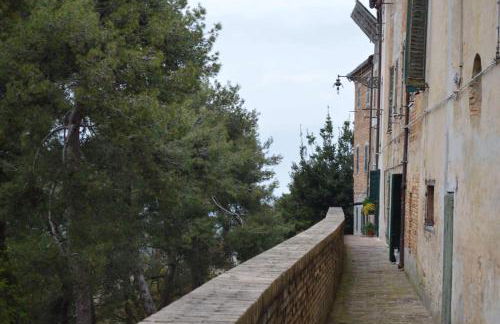 Agriturismo Tenuta Belvedere - Foto 23